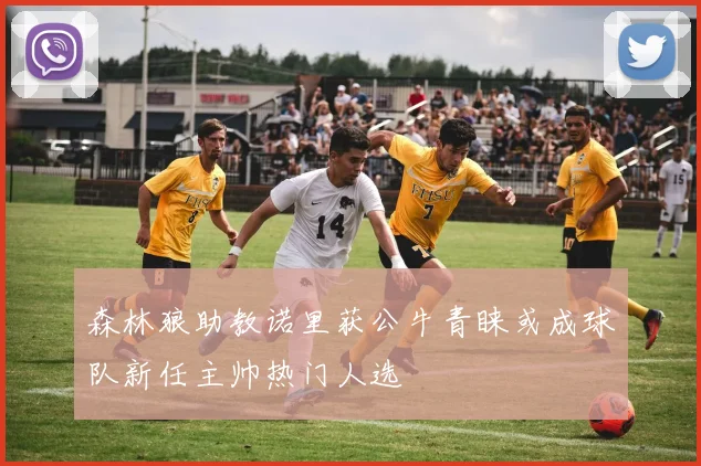森林狼助教诺里获公牛青睐或成球队新任主帅热门人选